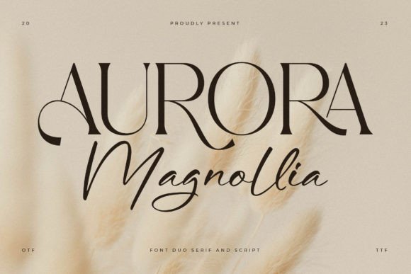 Aurora Magnollia: Blending Classic Serifs with Modern Flow