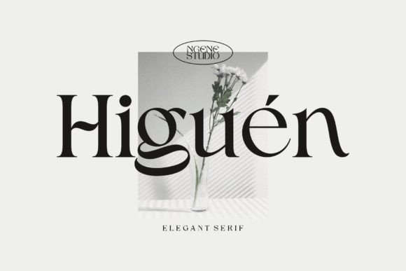 Higuen: Crafting Sophistication for Modern Designers